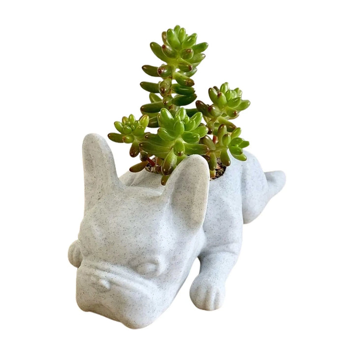 BowLift | Dog Resin Succulent Planter - Buddy