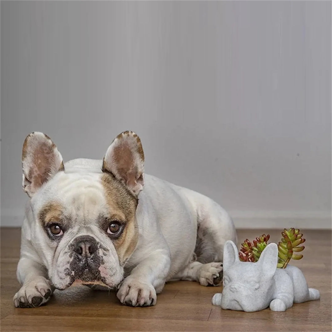 BowLift | Dog Resin Succulent Planter - Buddy
