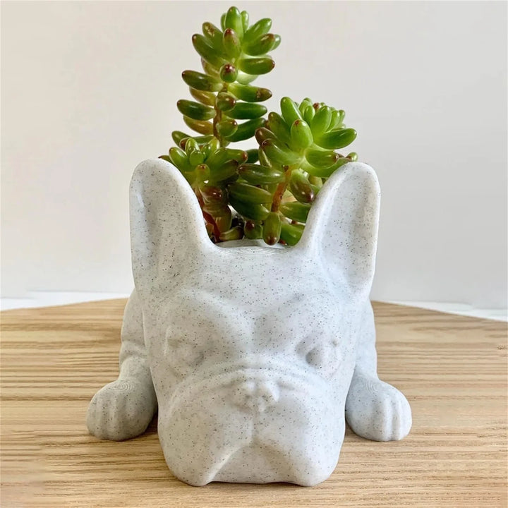 BowLift | Dog Resin Succulent Planter - Buddy