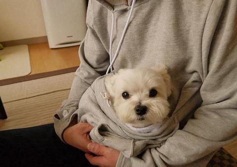 The Doggie Kangaroo Hoodie | Bowlift