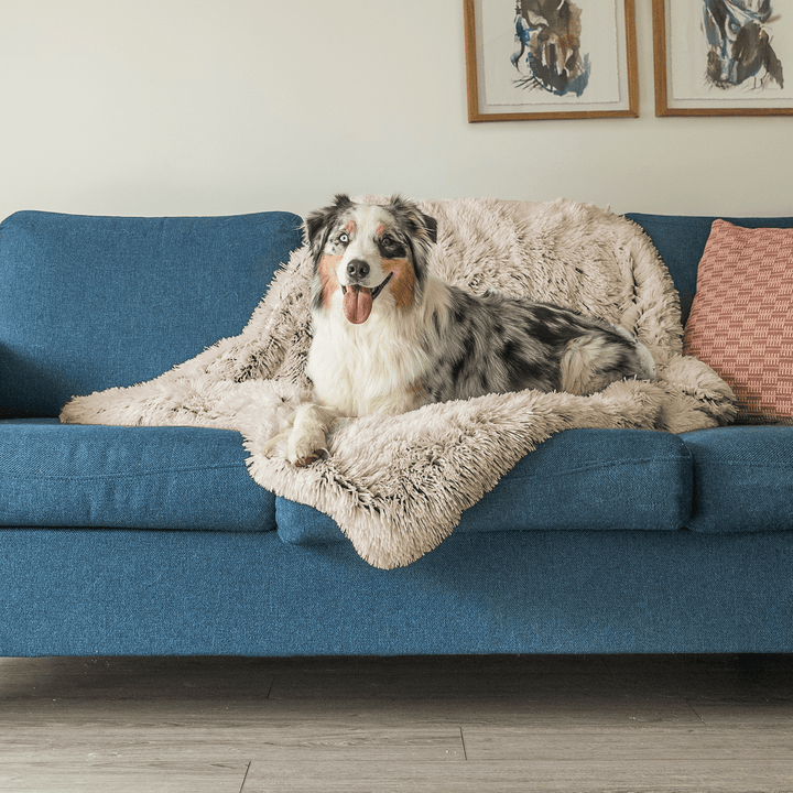 BowLift | Luxury Calming Dog Blanket – Soft, Pet-Friendly Fabric for Enhanced Sleep and Comfort, Machine Washable, Multiple Sizes Available
