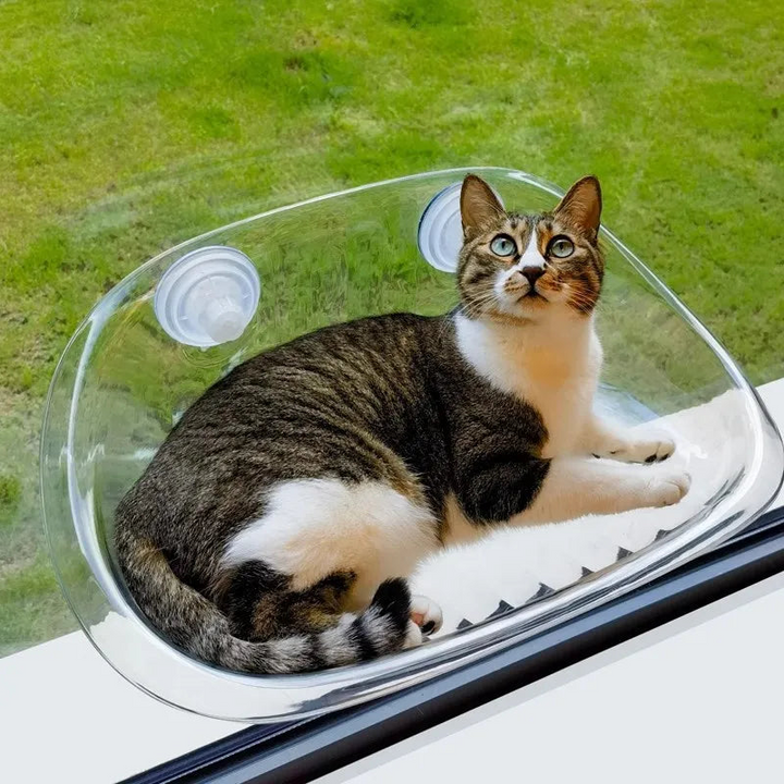 Cat-Safe-Hammock | The ultimate comfort for your cat | Bowlift