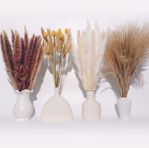Bleached pampas grass, 145 cm, 10 pieces