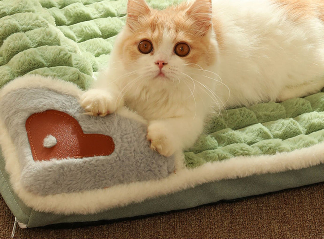 Warm Dog Mat for Small & Medium Dogs Bowlift