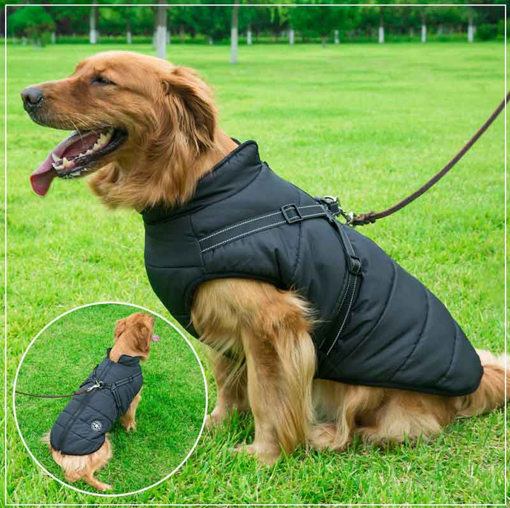 BowLift | PupGuard - Winter-Dog Coat with Harness