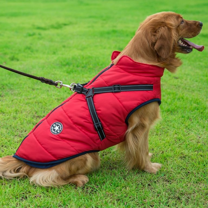 BowLift | PupGuard - Winter-Dog Coat with Harness