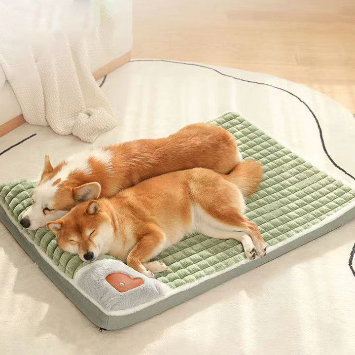 Warm Dog Mat for Small & Medium Dogs Bowlift