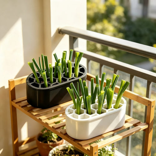 Hydroponic growing box for herbs and vegetables