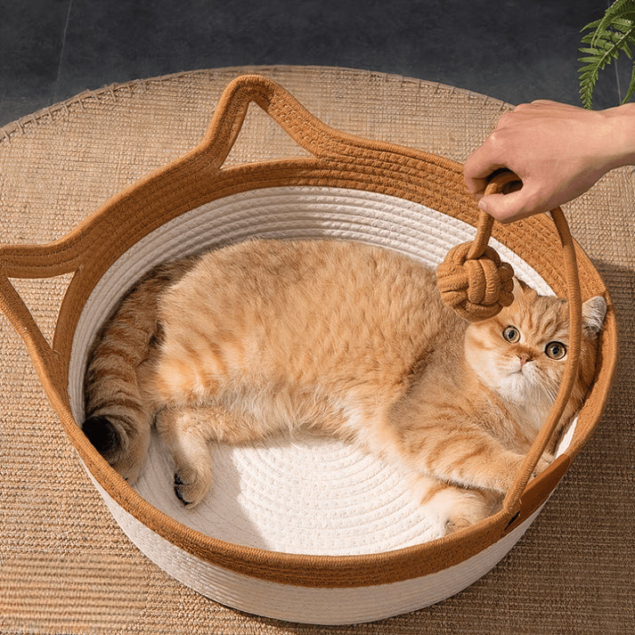 BowLift | CoolPaws Restful Cooling Escape