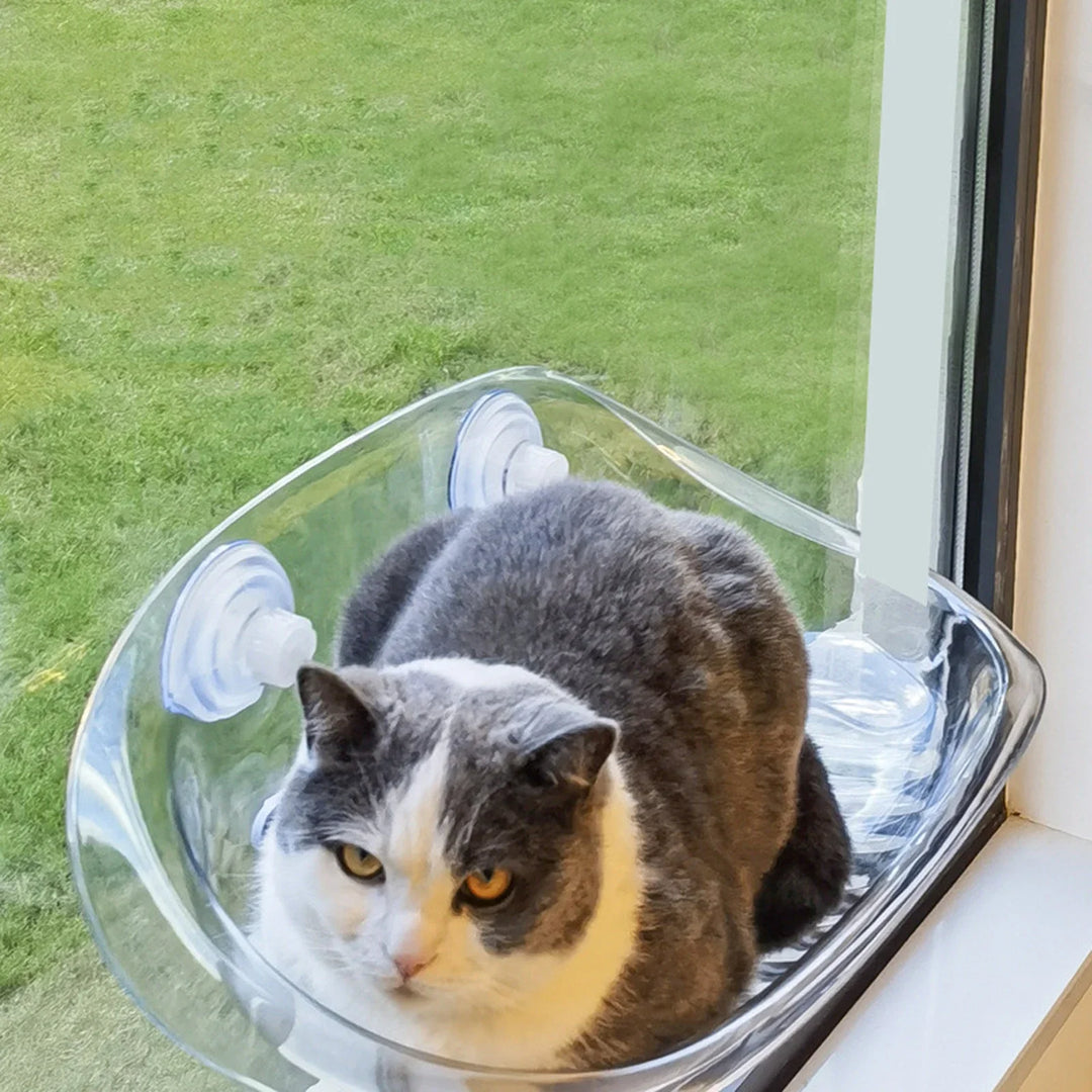 Cat-Safe-Hammock | The ultimate comfort for your cat | Bowlift