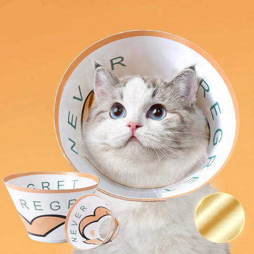 Protective collar for dogs and cats, waterproof