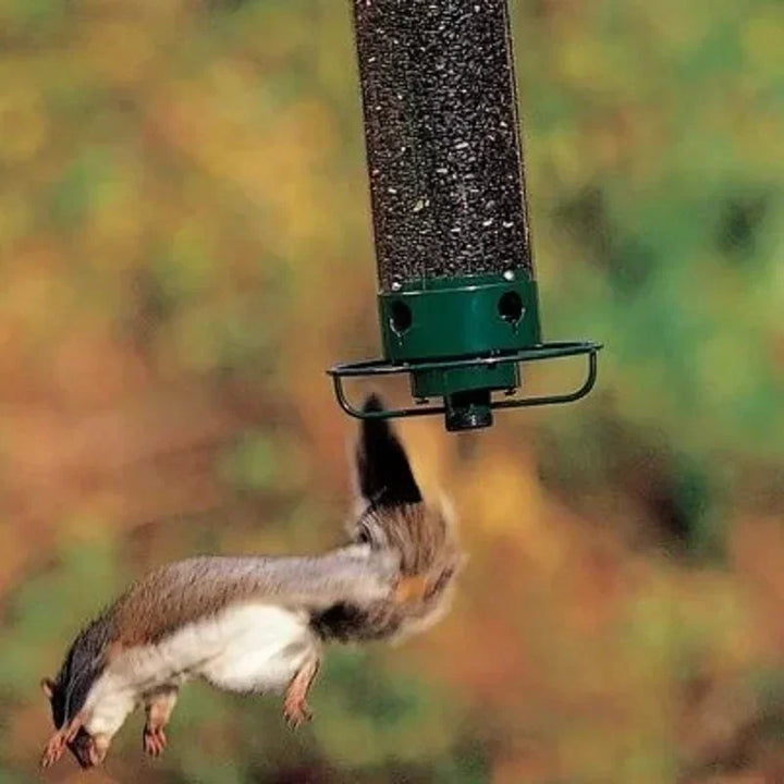 BowLift | BirdHaven Squirrel-Proof Bird Feeder