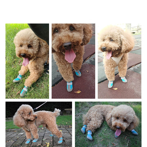 BowLift | Durable Outdoor Dog Shoes with Mesh - All-Terrain Paw Protection