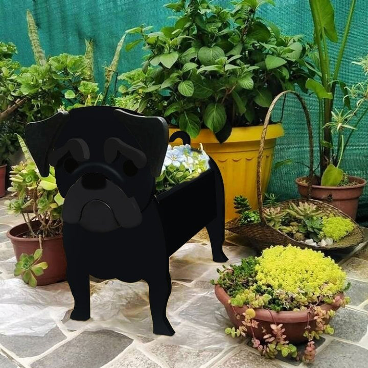 BowLift | PawPlanter Green Pet Oasis