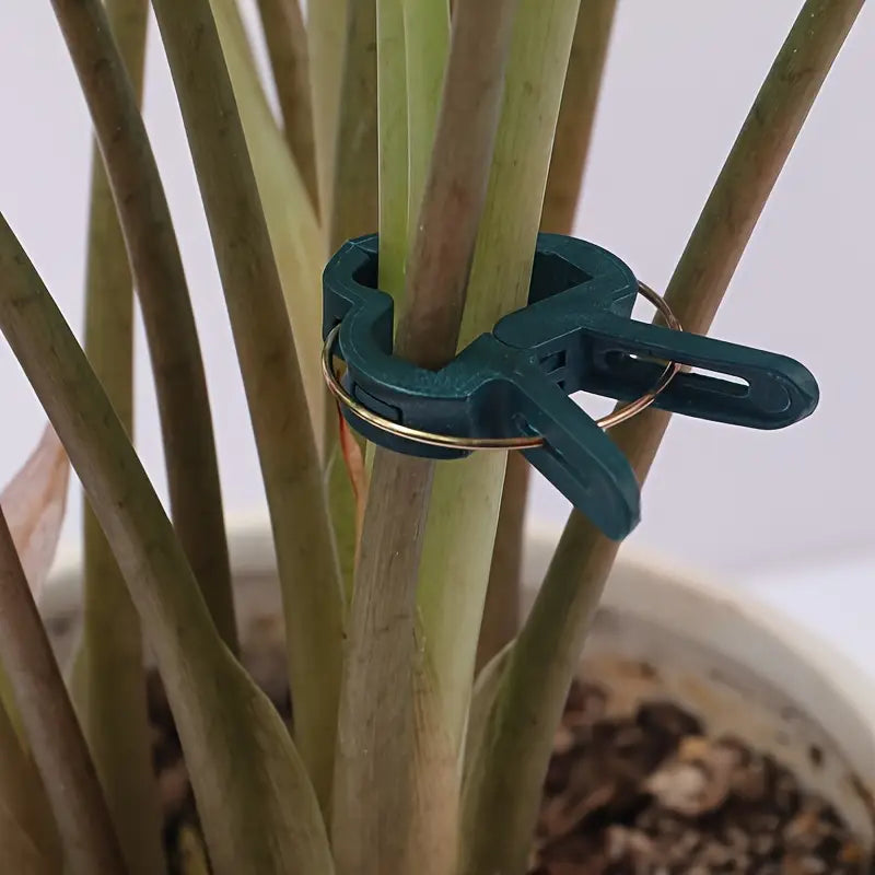 BowLift | Garden clip set – plant loops for plant supports and garden care