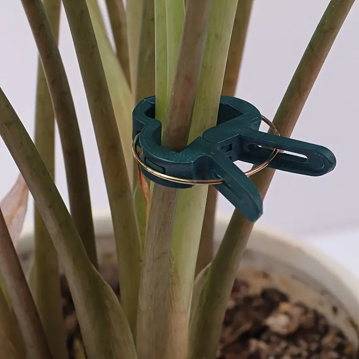 BowLift | Garden clip set – plant loops for plant supports and garden care