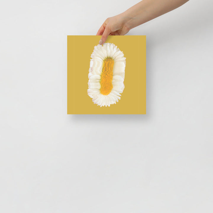 Lazy Daisy | Bowlift