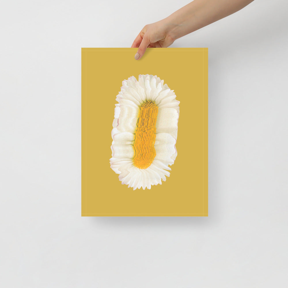Lazy Daisy | Bowlift