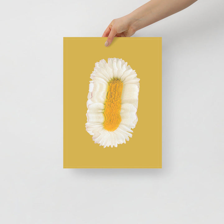 Lazy Daisy | Bowlift