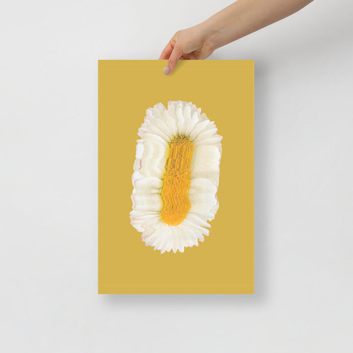 Lazy Daisy | Bowlift