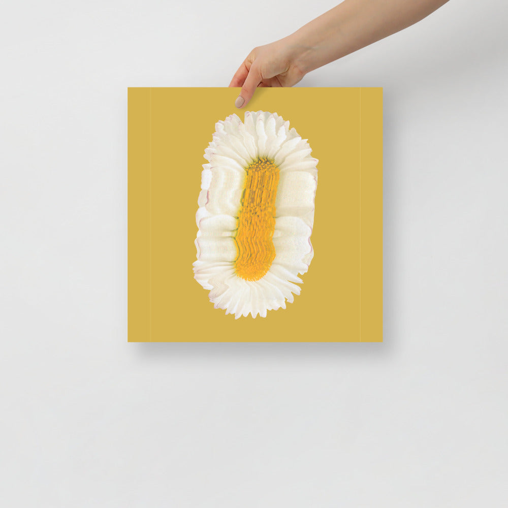 Lazy Daisy | Bowlift