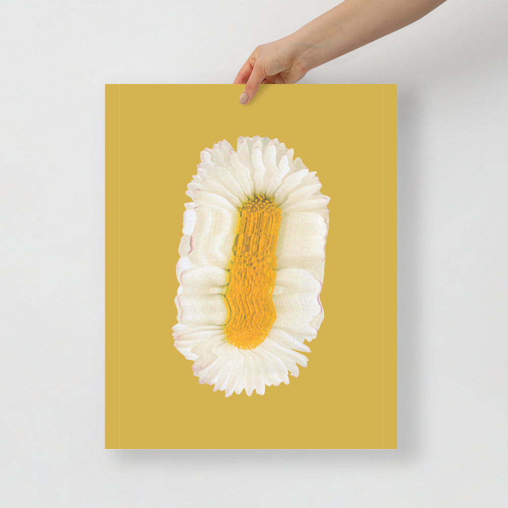 Lazy Daisy | Bowlift