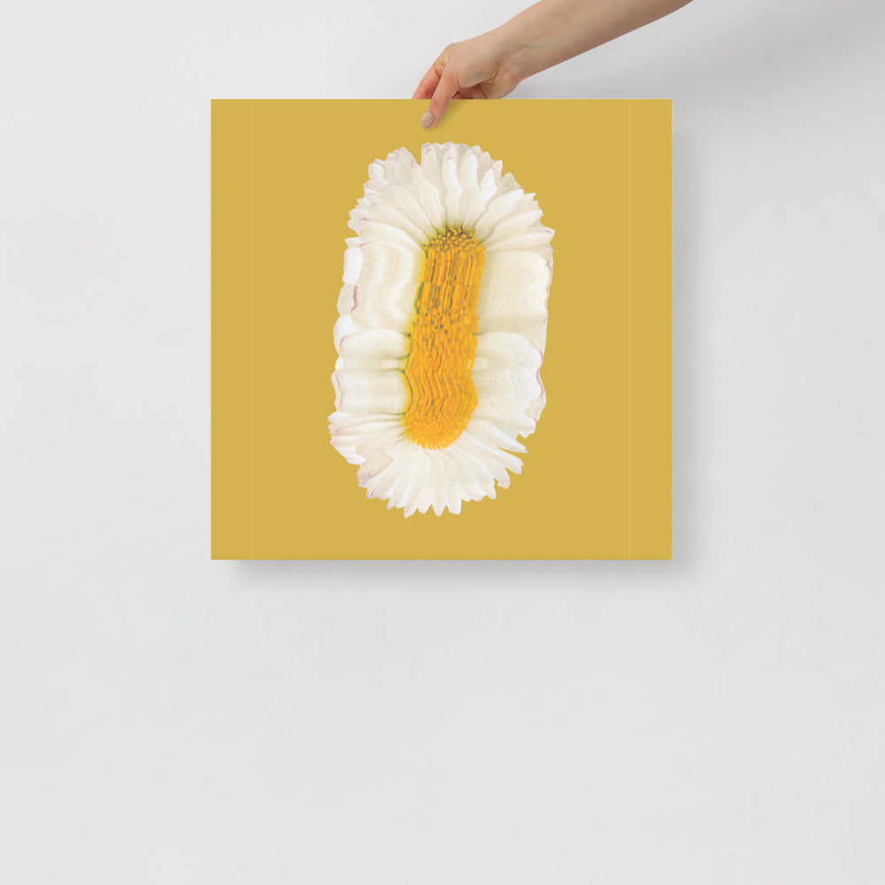Lazy Daisy | Bowlift