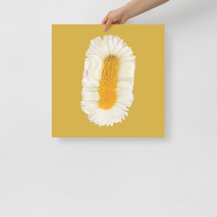 Lazy Daisy | Bowlift