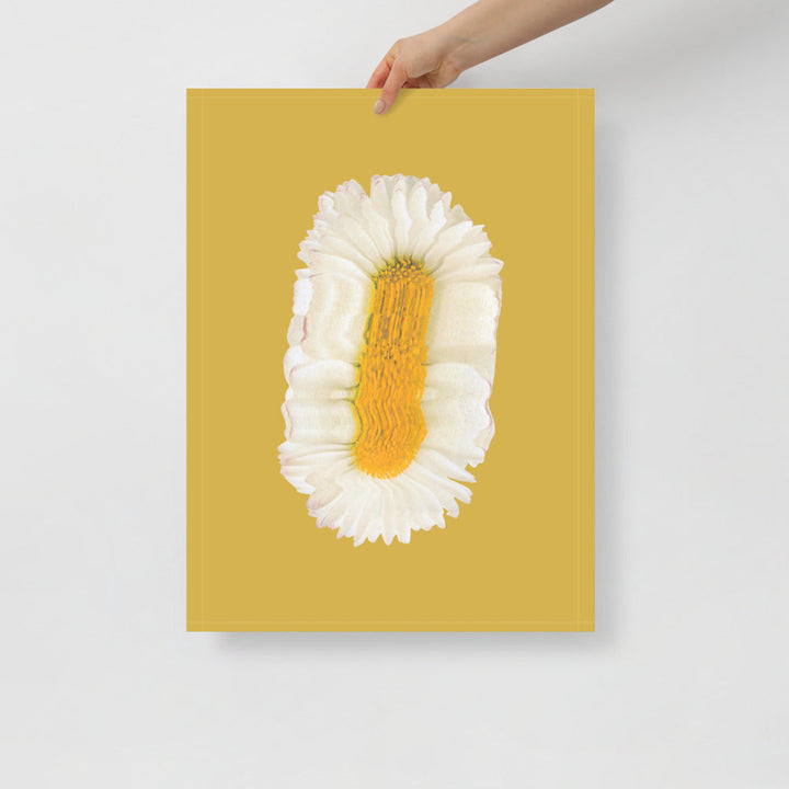 Lazy Daisy | Bowlift