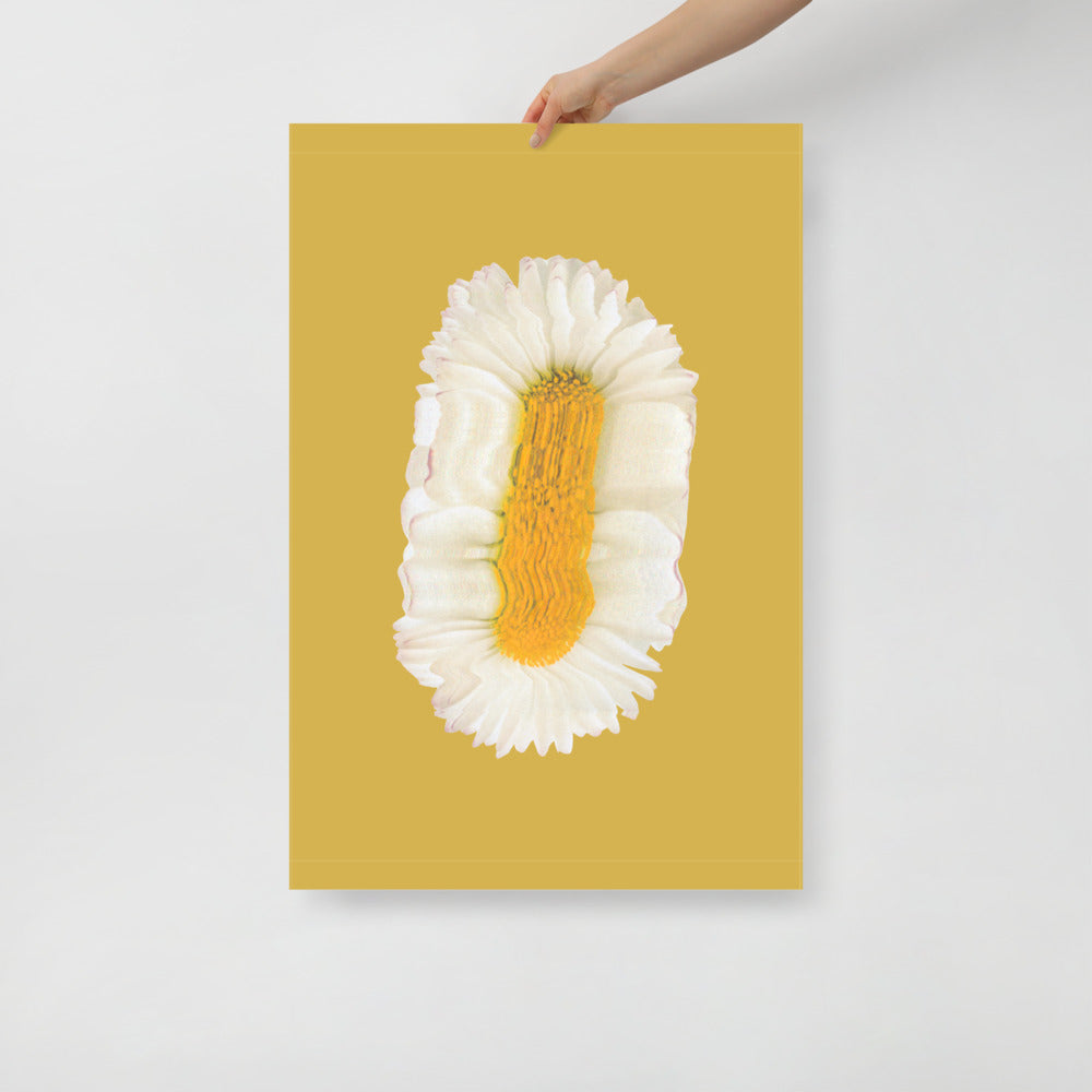 Lazy Daisy | Bowlift