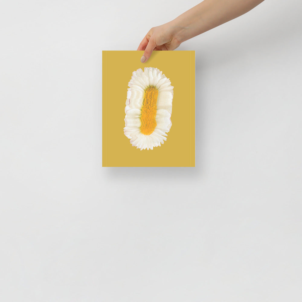 Lazy Daisy | Bowlift