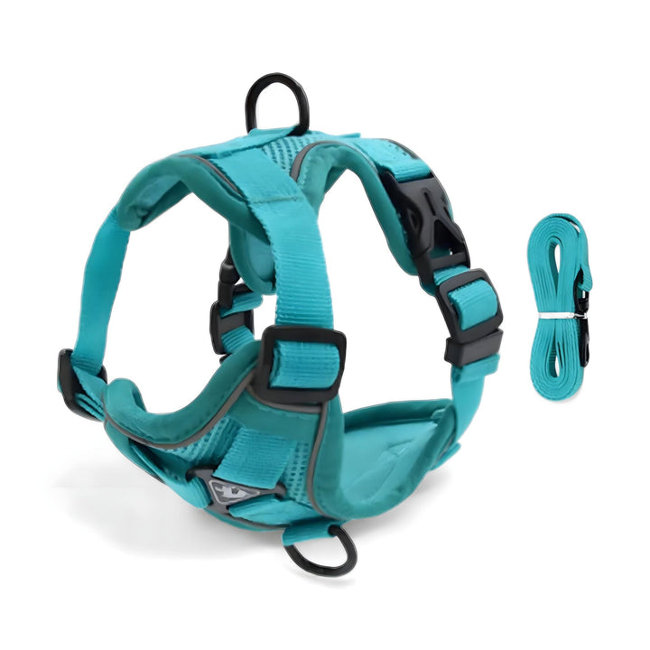 bowlift.shopfort Cat Harness