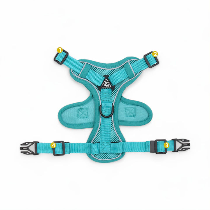 bowlift.shopfort Cat Harness