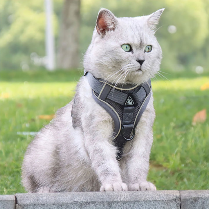 bowlift.shopfort Cat Harness