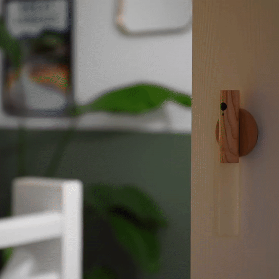 LED Night Light with Motion Sensor - Instant Lighting for Home | Bowlift