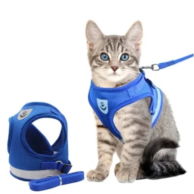 BowLift | Reflective Cat Harness and Leash Set with Adjustable Straps for Safe Night Adventures – Comfortable Fit for Cats and Kittens