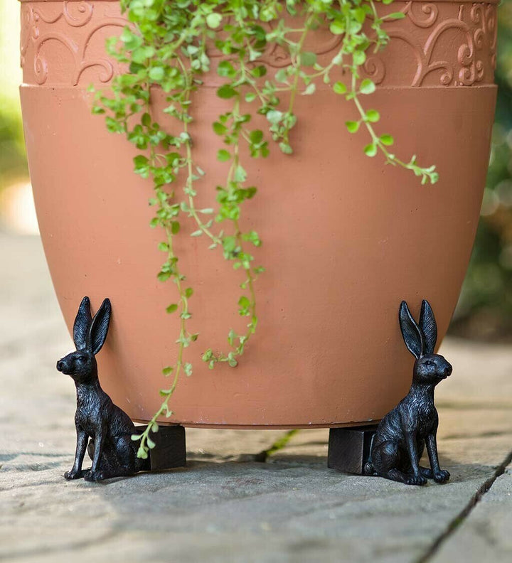 BowLift | Potty Feet Plant Pot Feet