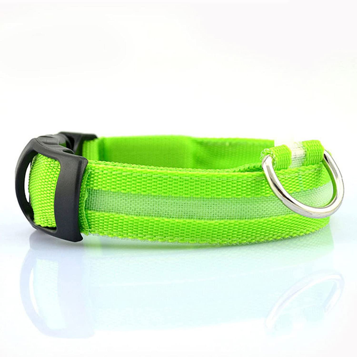 BowLift | Luminous Animal Collar with LED Light – Rechargeable, Waterproof, Adjustable Fit for Enhanced Safety at Night