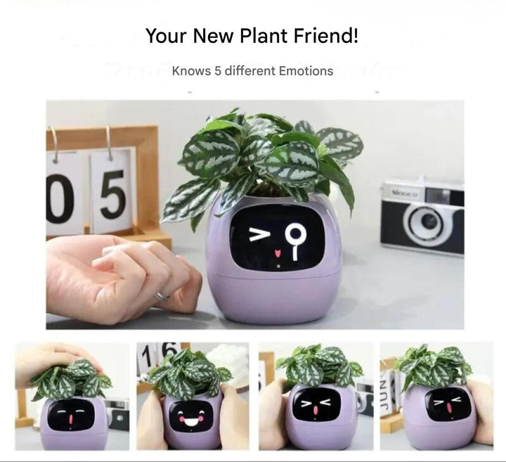 BowLift | GreenBuddy SmartPot - Automatic Smart Planter