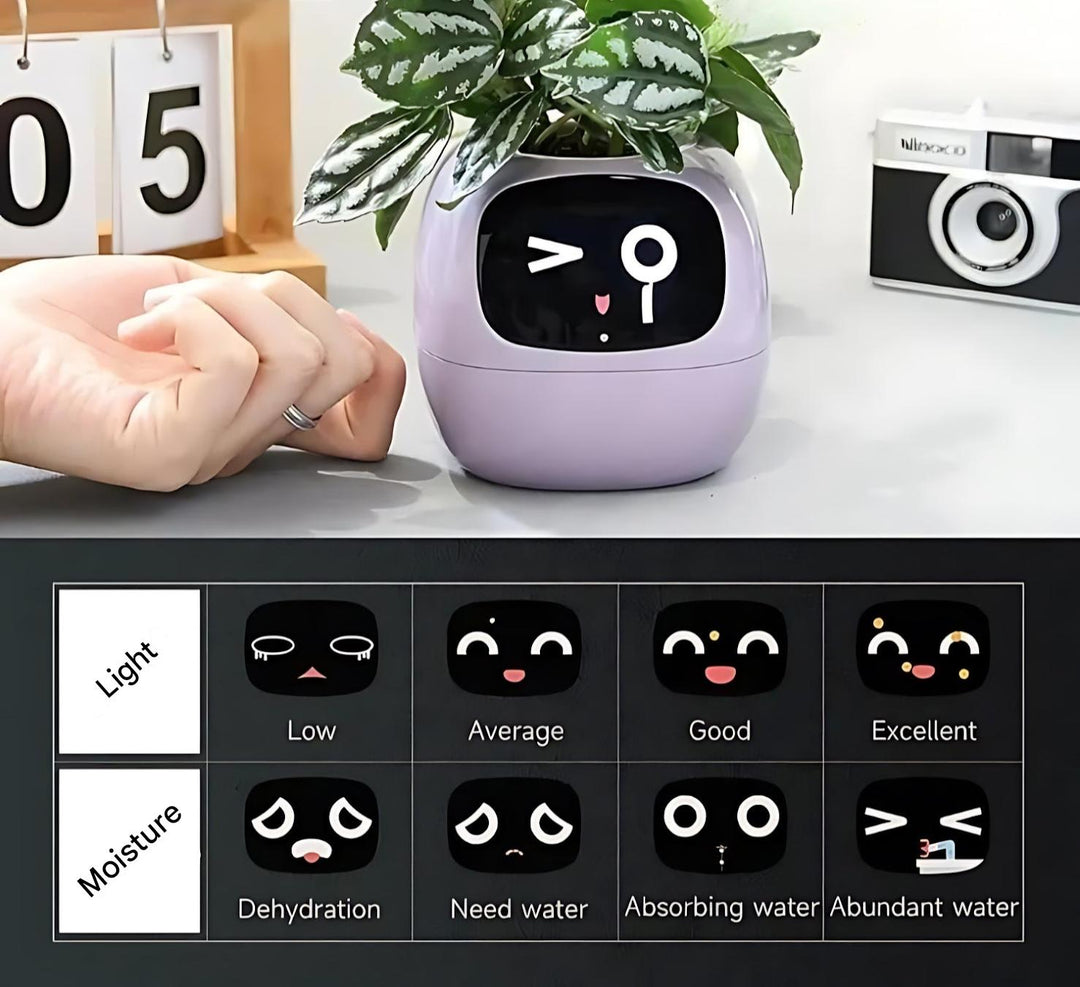 BowLift | GreenBuddy SmartPot - Automatic Smart Planter