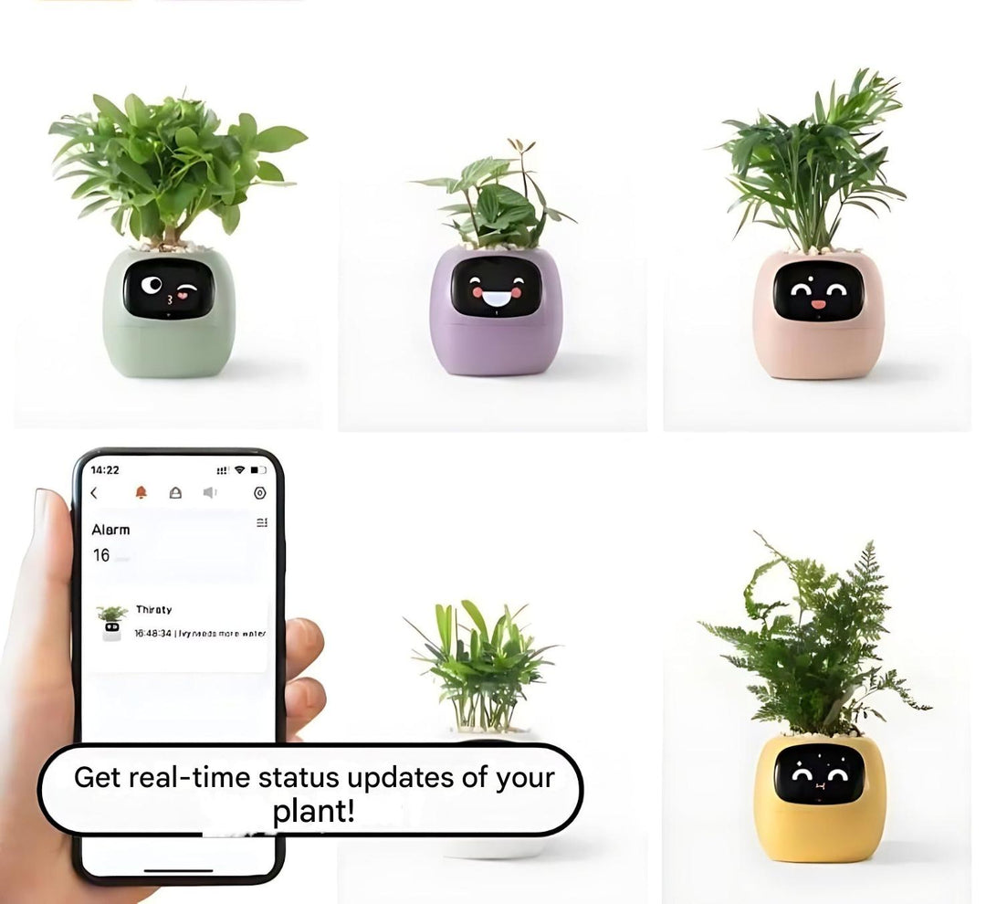 BowLift | GreenBuddy SmartPot - Automatic Smart Planter