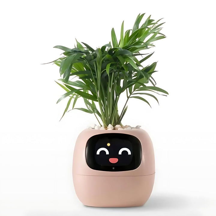 BowLift | GreenBuddy SmartPot - Automatic Smart Planter