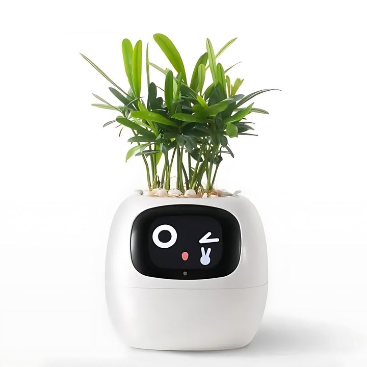 BowLift | GreenBuddy SmartPot - Automatic Smart Planter
