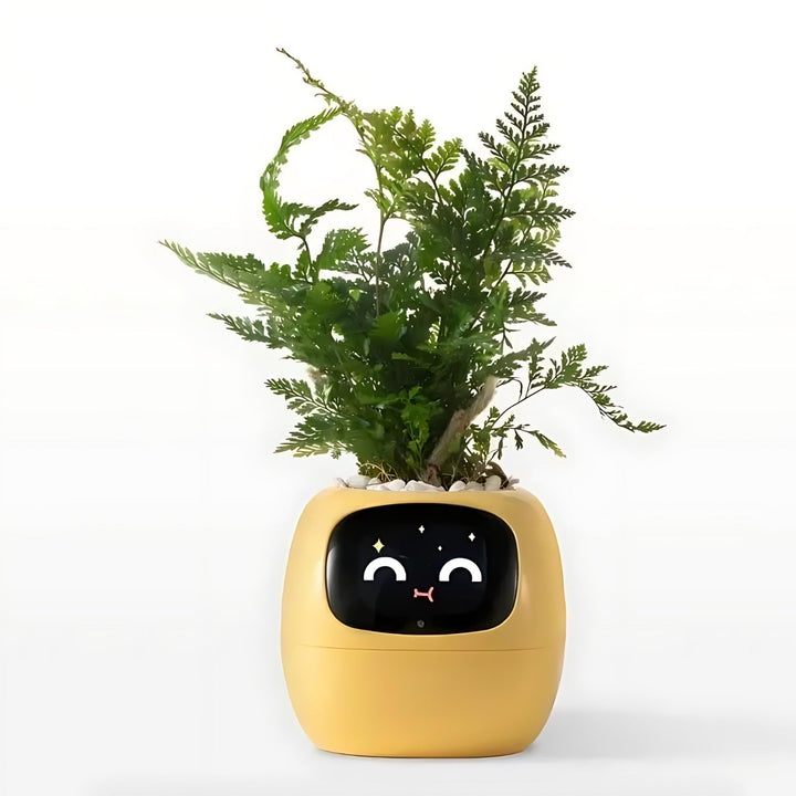 BowLift | GreenBuddy SmartPot - Automatic Smart Planter