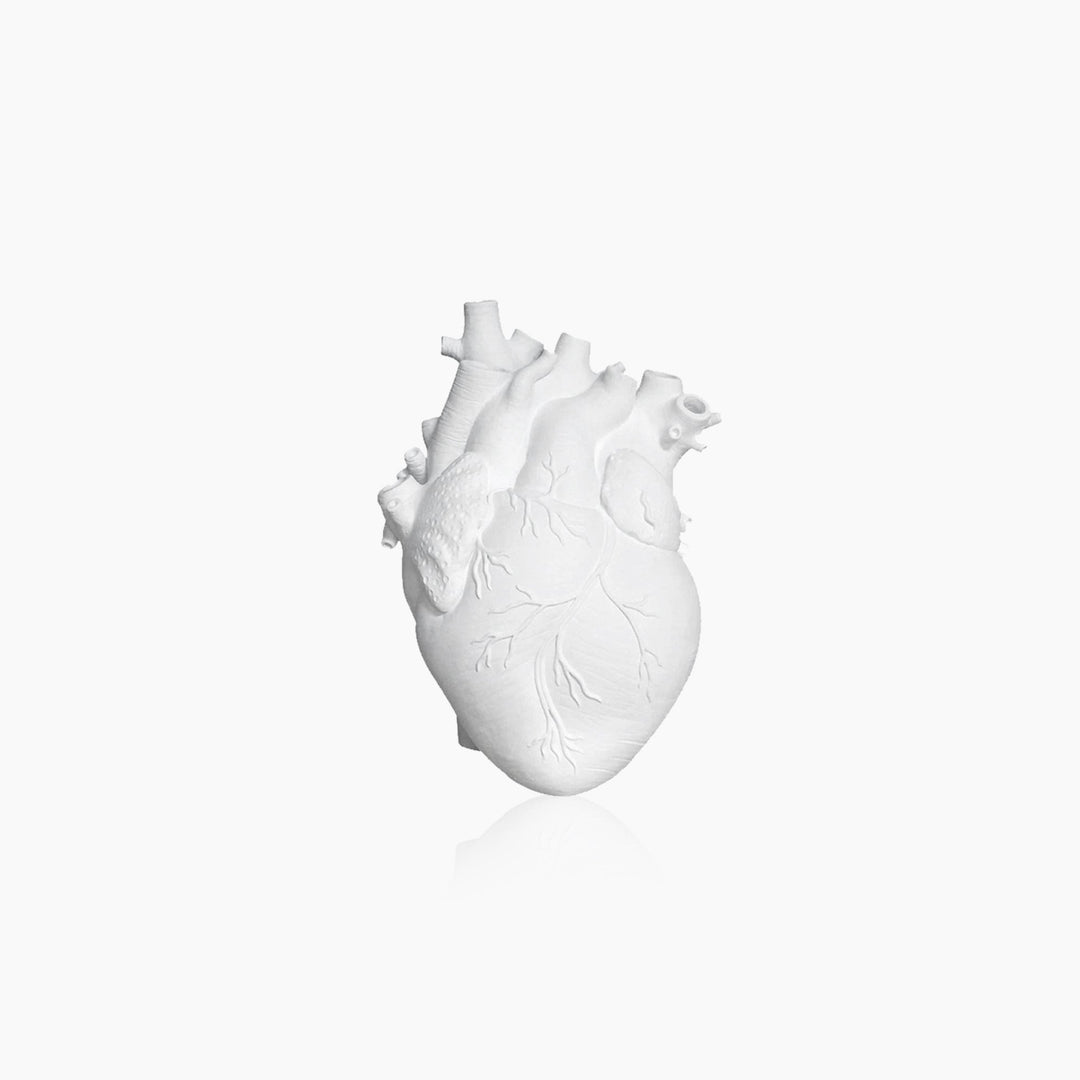 BowLift | Heart Dry Plants Artificial Vase