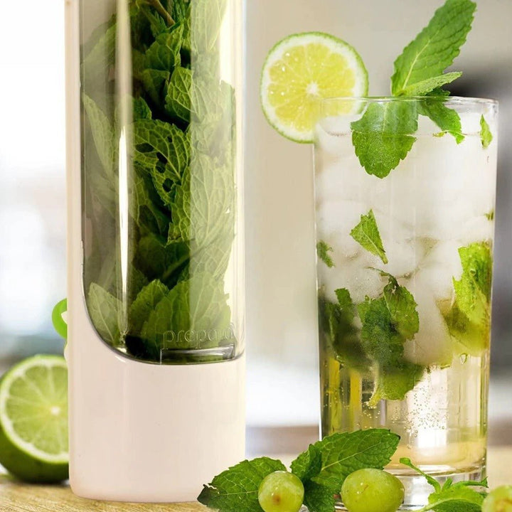 BowLift | HerbLux Elite Herb Storage Container | Keep your herbs fresher and fuller of flavor longer