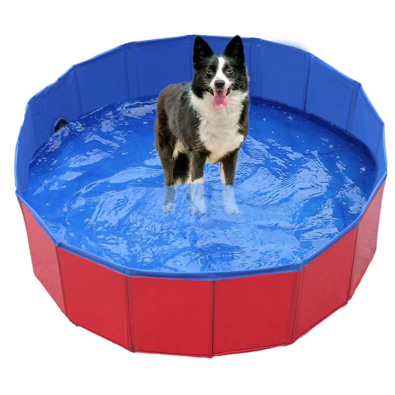 BowLift | Foldable Dog Pool for Refreshing Summer Fun