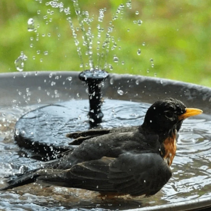 BowLift | LED Solar Energy Fountain