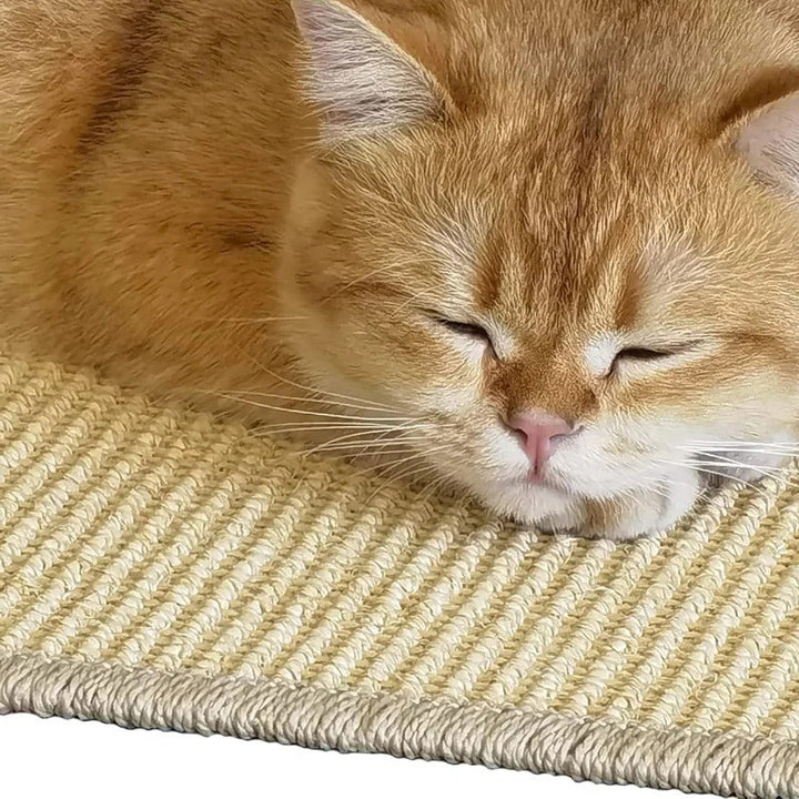 BowLift | Sisal Cat Scratcher Board Mat, Durable Scratch Pad for Cats
