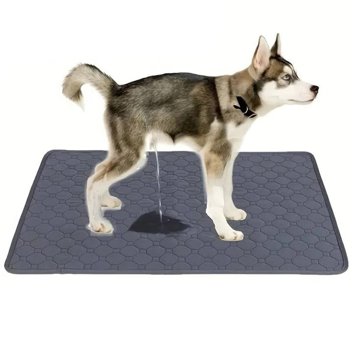 BowLift | Reusable and Disposable Dog Training Pee Pads